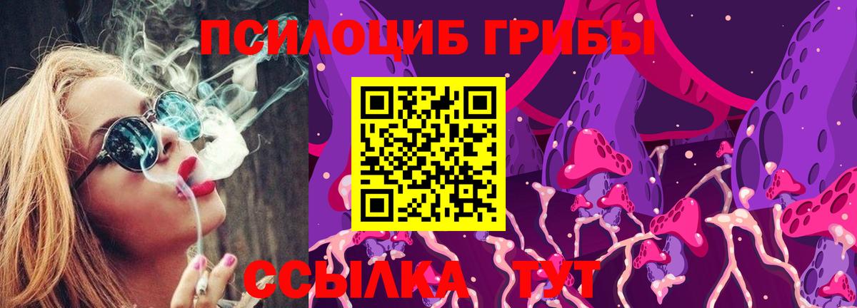 Йошкар-Ола  Галлюциногенные грибы Magic Shrooms  Вход с VPN  Галлюциногенные грибы прущие грибы 