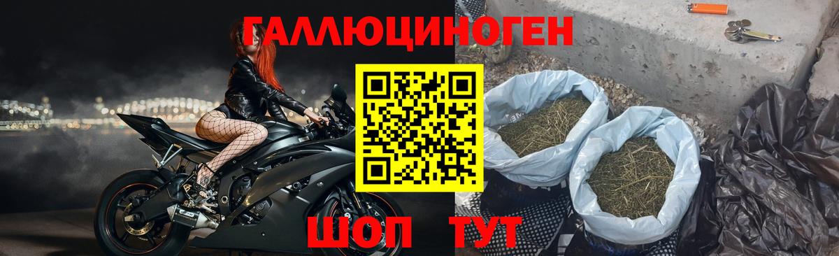 Бошки Шишки Йошкар-Ола